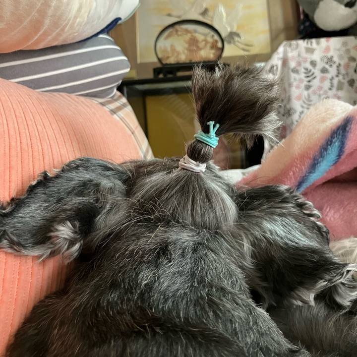 C5de4370 634d 45cb 83e9 ba540d36cf55 1715497812296