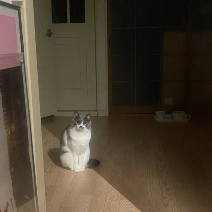 C5deacff 12d7 4638 b0b9 ba4d3008d636 1701789794161