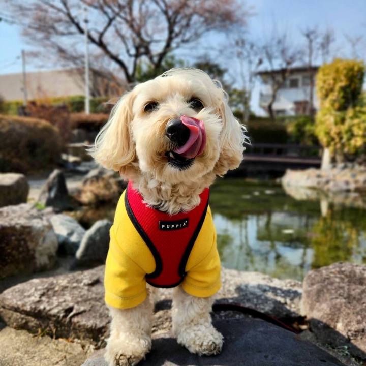 C5dedd11 e870 4a8c afe7 36d01c6d8752 1771216547012