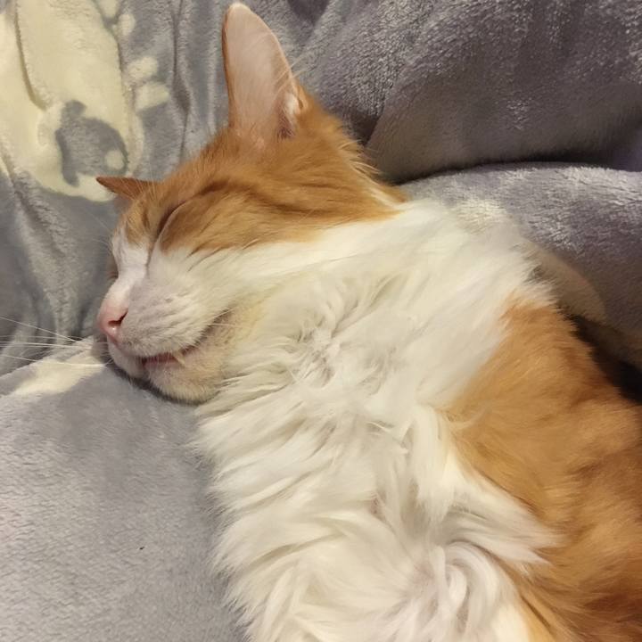 C5dee142 c97f 45c6 8969 afd8273d0e19 1576840493751