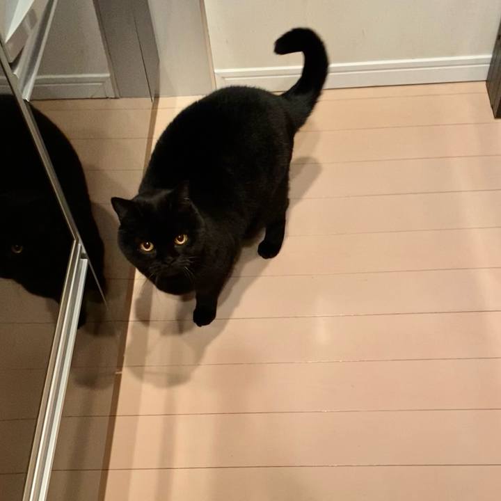 C5df1355 03df 4f2c bd1f 49b292d19907 1704720442398