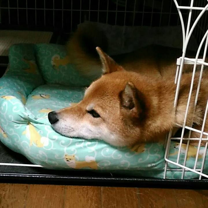 C5df202a 9f1e 4cea 8475 f12826d8773a 1567160068310