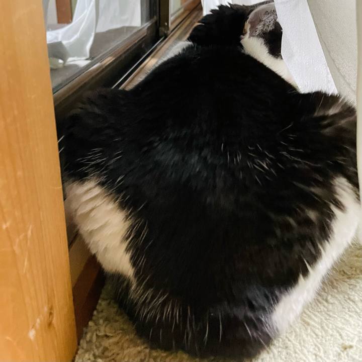 C5df3c87 70a8 4a52 984d e09d7dc78bf0 1651456983447