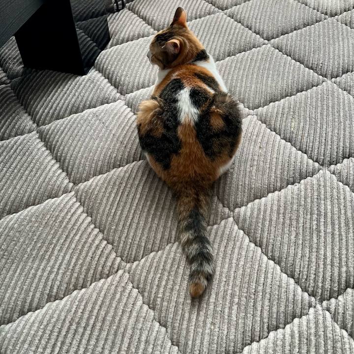 C5df660e 2ee5 4df0 981b d1b40a2c3526 1763952911456