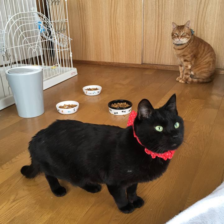 C5df8242 3fb1 4db5 b8df 41b060c92113 1549678481371