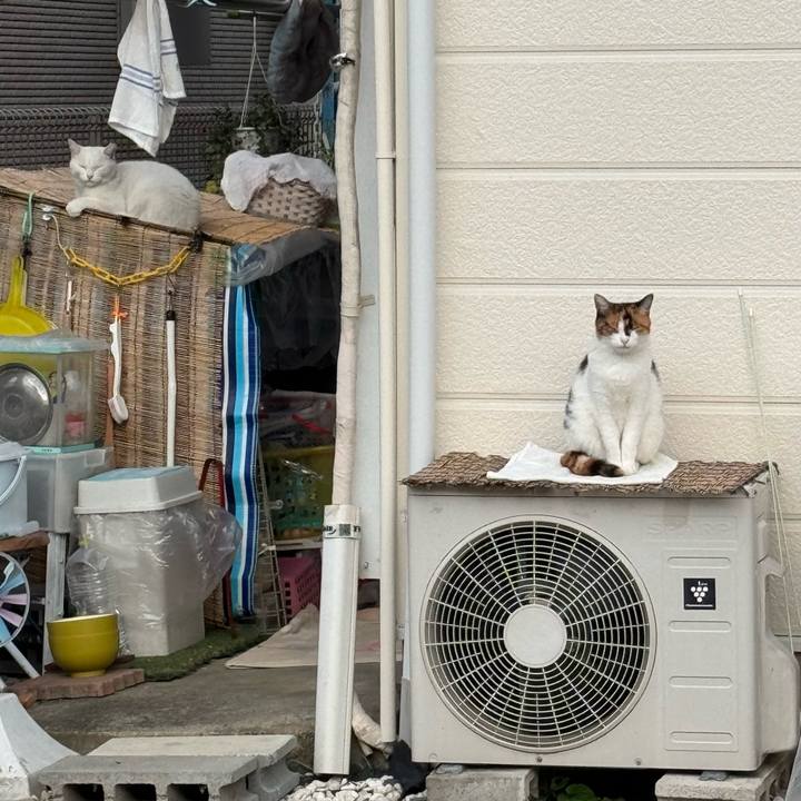 C5df85bb 3415 4e44 a868 d4884598f641 1760837094689