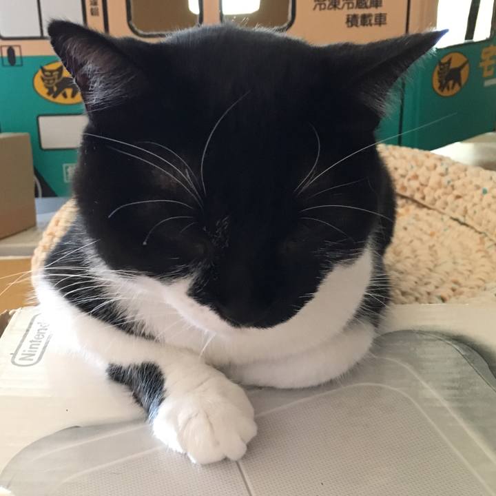 C5dfb715 010e 40a1 a405 9e96173ee96d 1510283539031