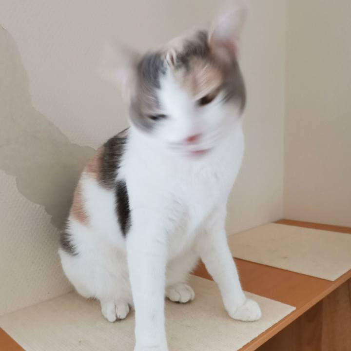 C5dfbfcc a9c9 4607 8fbd 063f3f0e58ee 1647229034822