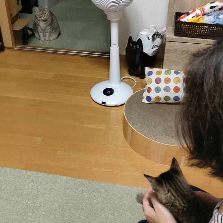 C5dfd1a8 000c 4278 80e6 d0d7355b2f5d 1698813264343