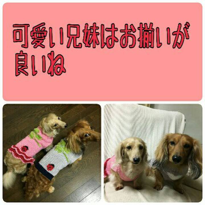 C5dfd996 4895 4756 99b1 9415d19b2dbc 1539271280897
