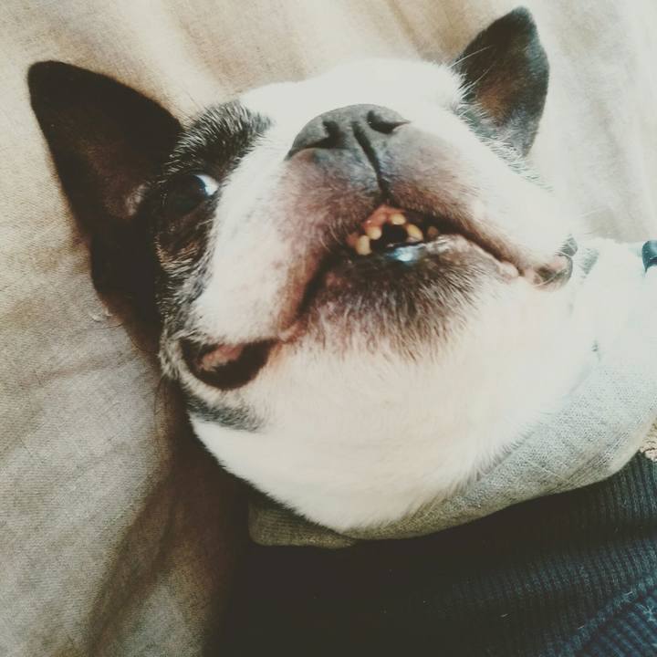 C5dff289 6ff0 4802 bdd2 c2f0e3349406 1518857539550