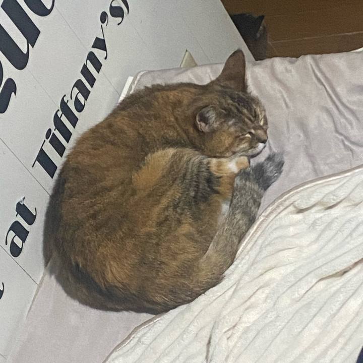 C5e0c53f 3918 4464 bc87 cea25df06106 1718422393663