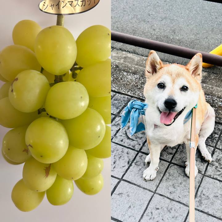 C5e0ed1a 57be 4655 8188 e02641ce5ef9 1758608174711