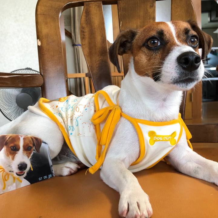 C5e0f903 dba2 4b7d b108 be6339b994b2 1564701758388