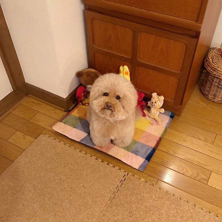 C5e1022a 8ea0 471b 8054 5c6c666ea6e9 1521528998859