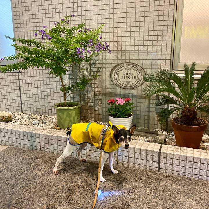 C5e16df7 7b29 41ee a499 bdad7313e285 1592521383258