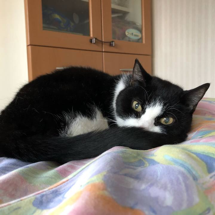 C5e1a4e8 748a 44bc 9713 005b99f5b8f8 1547591687931