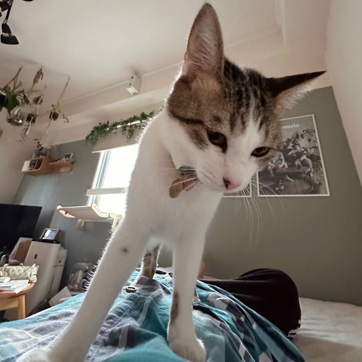 C5e1af1c c45b 4343 bccd ab02d0ca01ee 1774477143993