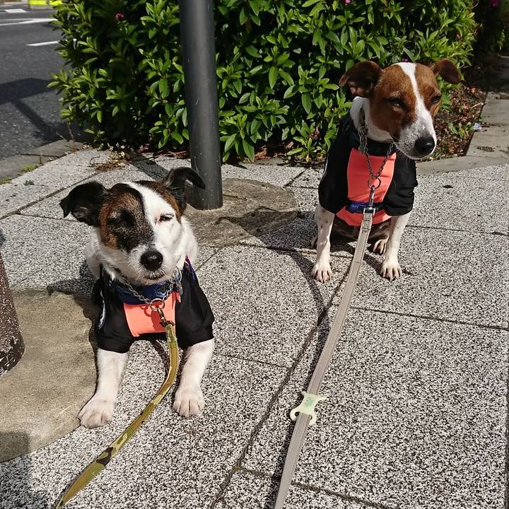 C5e1edbb 8331 495d a84c c1c7074d67f4 1589496848071