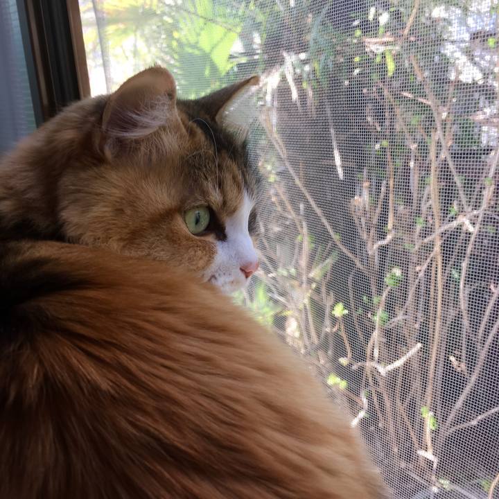 C5e1f051 82ca 4459 830e dedf0ca30392 1553829812263