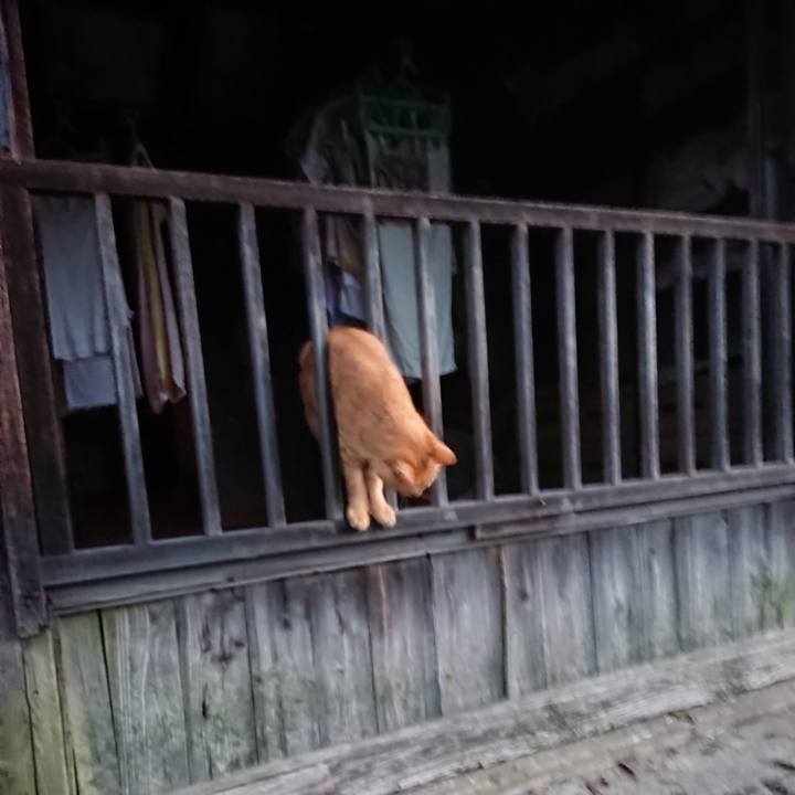 C5e2070e f87f 4d9e 81eb 71d71f10ea2a 1662758098220