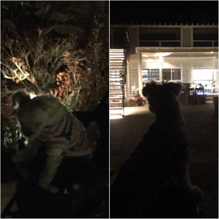 C5e20742 554d 4f34 9f47 62bd93a4962f 1516189976993