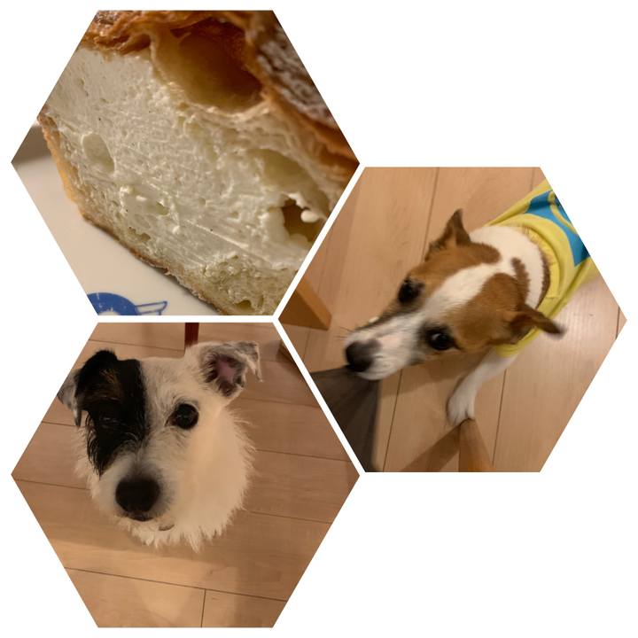 C5e2309b 36c0 45ff 934f 610b5e42abd9 1564145913753