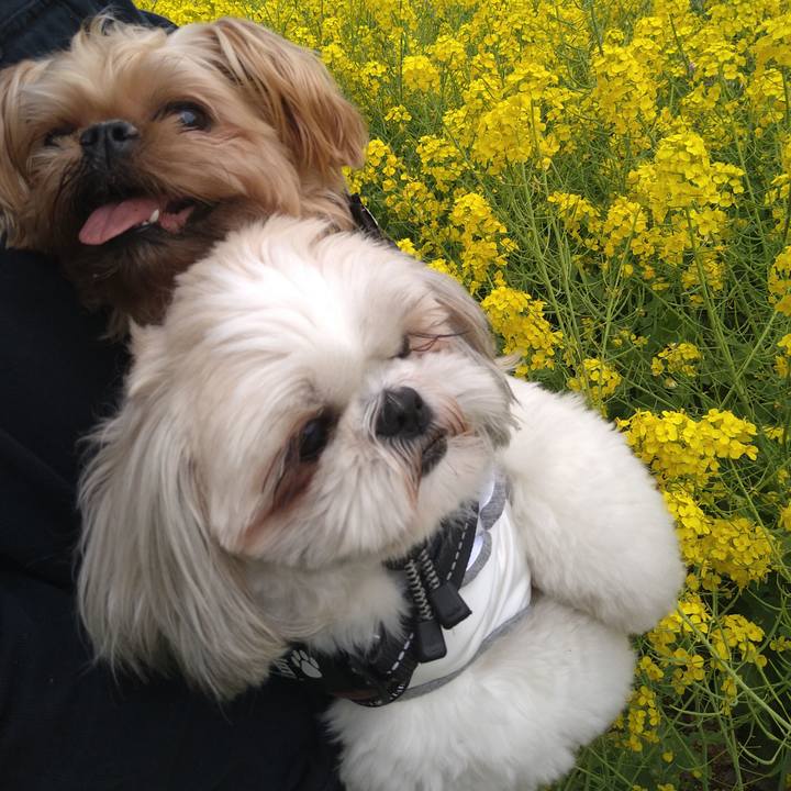 C5e240a8 4eef 4f19 abbf 61e63f89dc0b 1617529619530