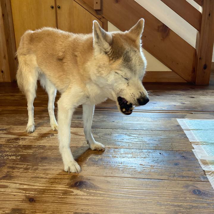 C5e24254 2b13 4f48 923a 3cd9c99925ad 1602651119157