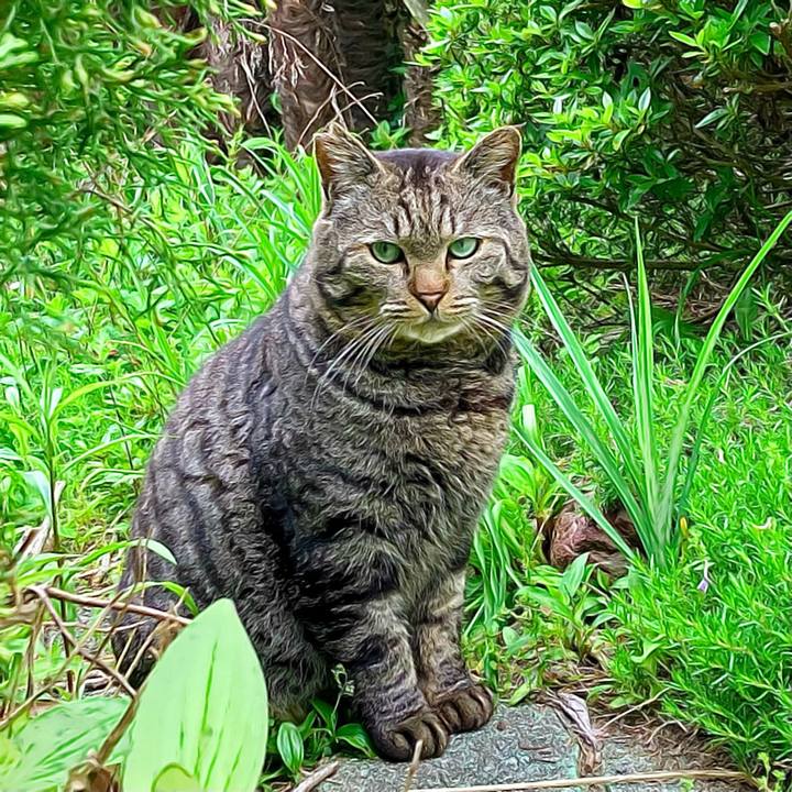 C5e24b58 b799 402e a0ea a0224292b244 1735436883716