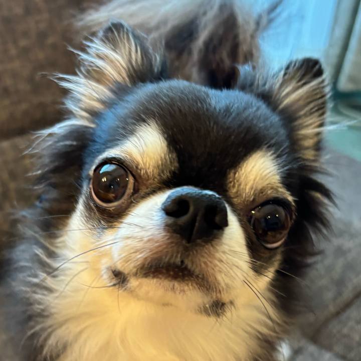 C5e27e26 dc7d 4b41 aa58 d0a9342f62d6 1721431676024