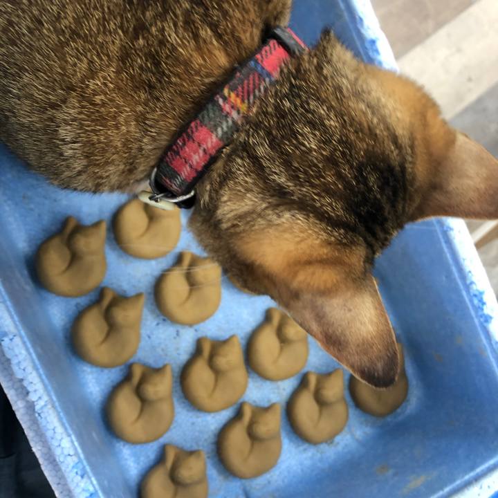 C5e2899d bf23 4cce b186 29d9411749d6 1635165539057