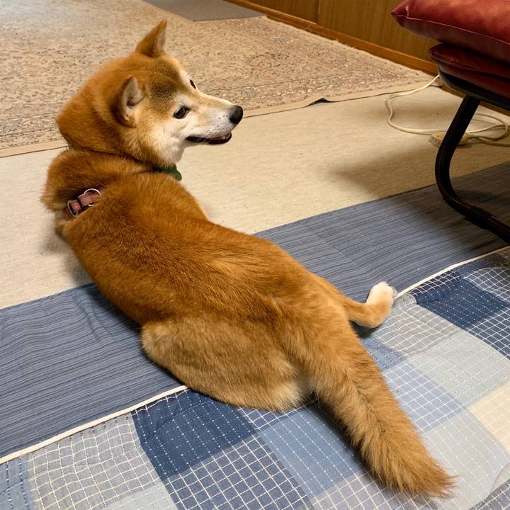 C5e2afe8 79bd 42c6 9589 a53c83f558de 1564735869079