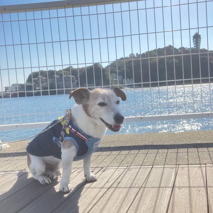 C5e2d237 5292 4815 ab04 a4716e079acf 1763176272400