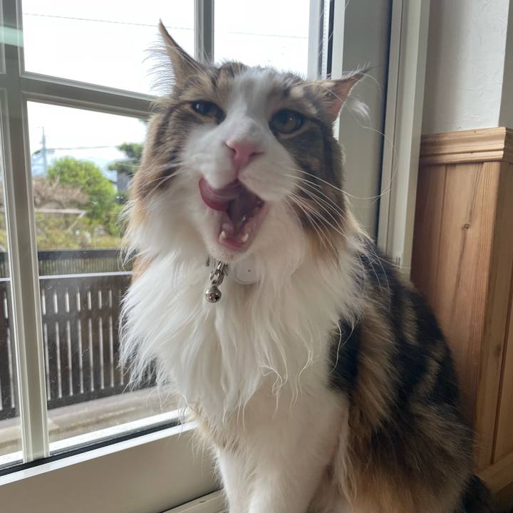 C5e2dd67 8009 4ddf 93f9 335651c544d8 1651352473299