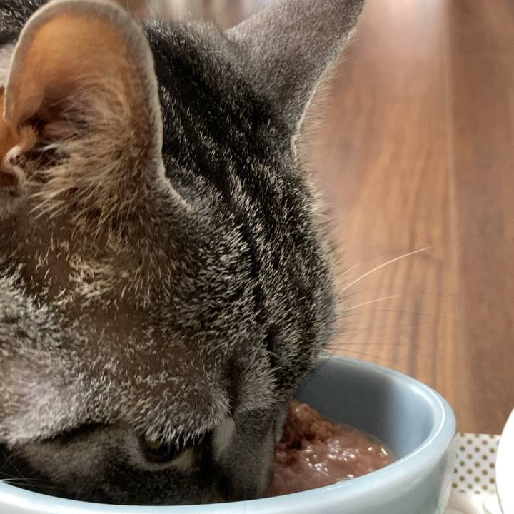 C5e3121f 8f30 44c0 9c4b 675b3604a1d0 1655420097136