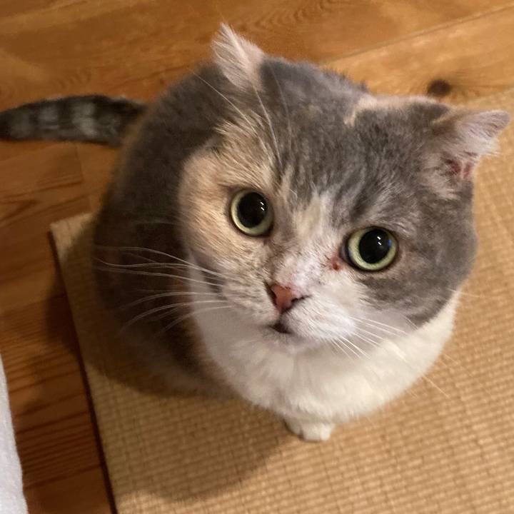 C5e33394 c6c0 44b4 9139 3693e569ea54 1663665851753