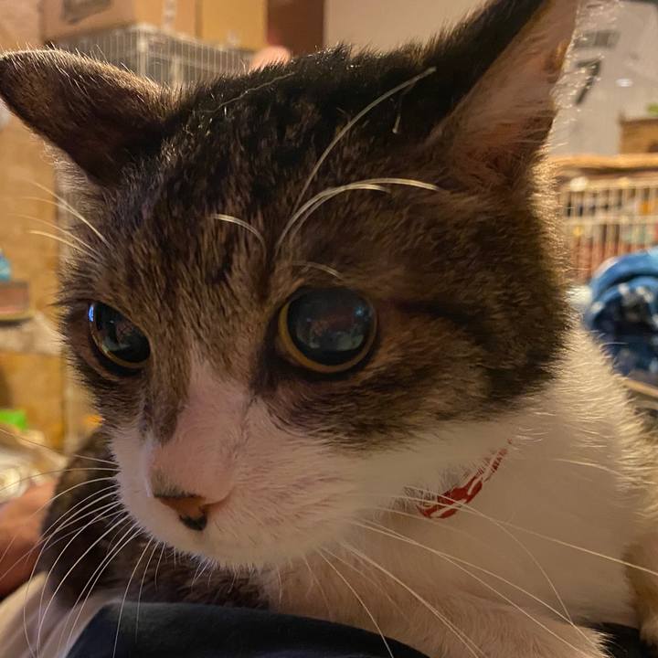 C5e33f0f e85e 4ea5 bdab c63e5b9e4333 1612479516933