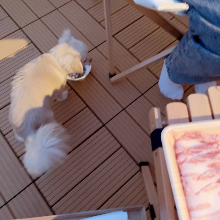 C5e35231 bfe3 474a a1c7 59353a4a0783 1689599079409