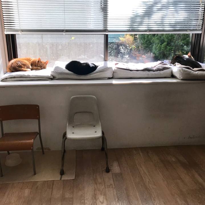 C5e36df0 ae92 42ae b820 229d4be7e70f 1515723795773