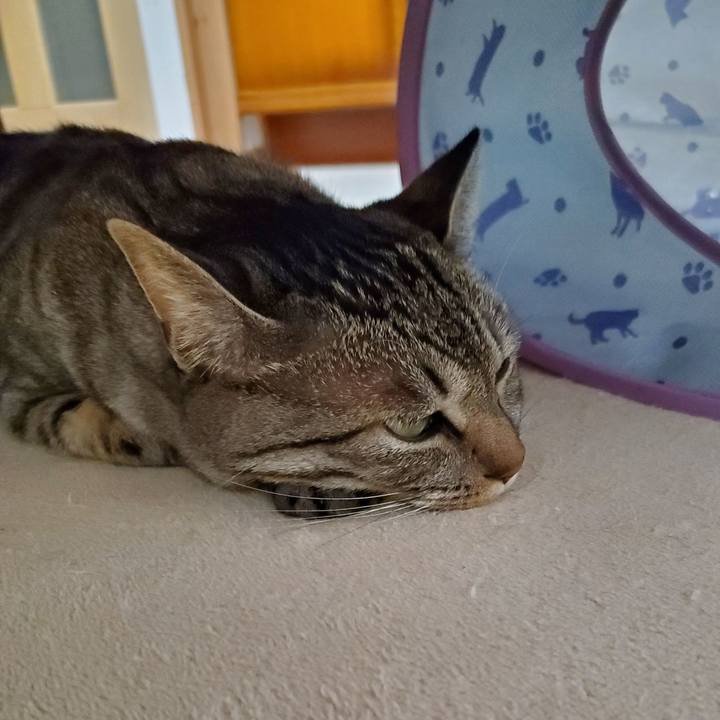 C5e36efb 5ea9 4cc5 959b 5eacc8d7027b 1705143315524