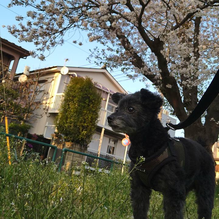 C5e37510 78d2 40a5 822d ef953fd2fdb1 1680346996435