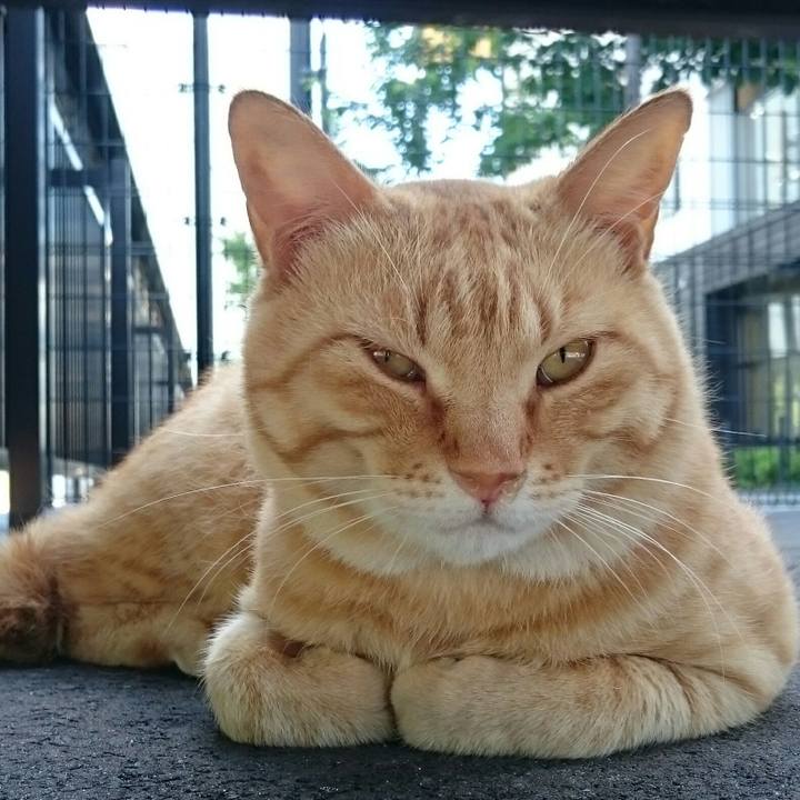 C5e37c83 da7e 4295 bb41 9f923f22ee63 1527150655408