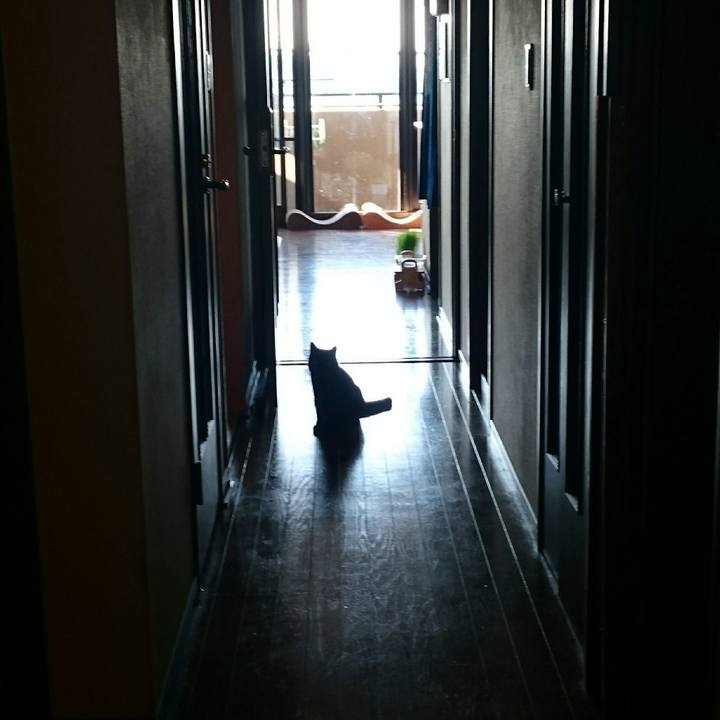 C5e388f1 35f0 4945 bc1f a5116b5b3bbd 1510193923198