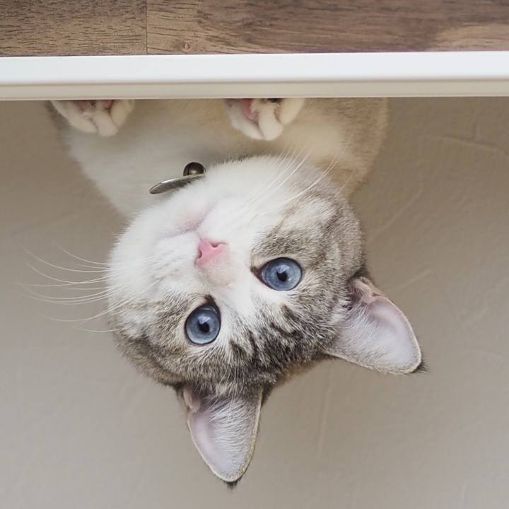 C5e3bd08 7bd7 48a8 81cb 2f9104ff40dd 1615025366335