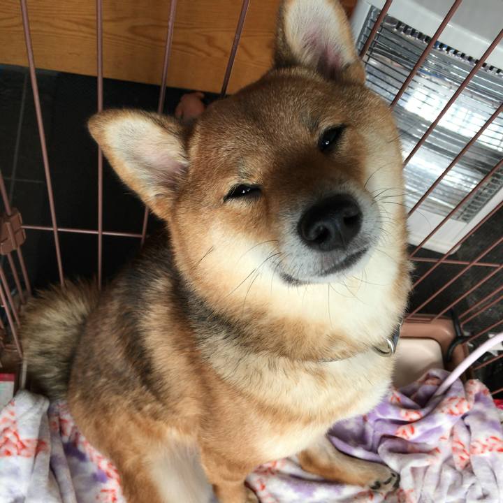 C5e3d121 37a8 4338 87a5 34a25531dc5a 1523709799915