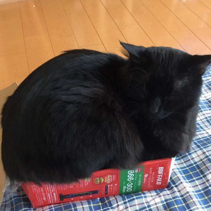 C5e49169 4e58 448a ba36 14e51b625a03 1508395364006