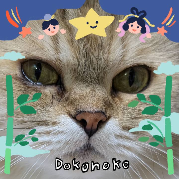 C5e4b507 1724 4976 9784 e5cbbd5982a6 1721275911236