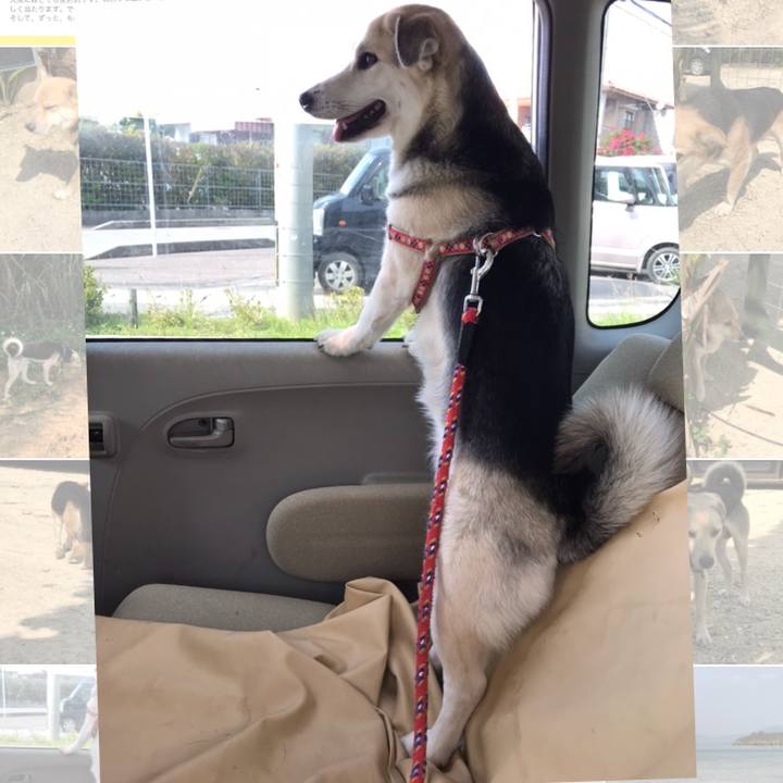 C5e4fa5c 1c6c 4662 b59c 667132b08cef 1522567592875