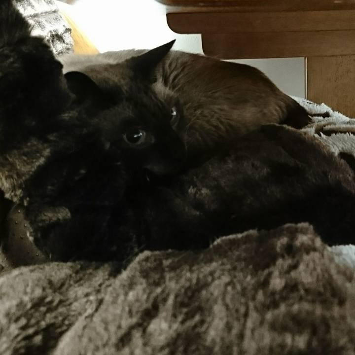 C5e4fb55 2bcb 42b0 b1cf 698c3dc2e210 1508194779324